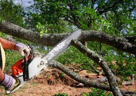  Lynchburg, OH Tree Services Pros